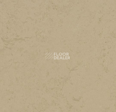 Линолеум Forbo Marmoleum Decibel on Order 372835 kaolin фото 1 | FLOORDEALER